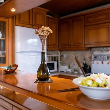 Philippopolis - Elegant & Spacious Retreat Nea Kallikrateia